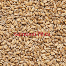Солод пшеничный Wheat malt, (Viking malt) Финляндия, 1 кг